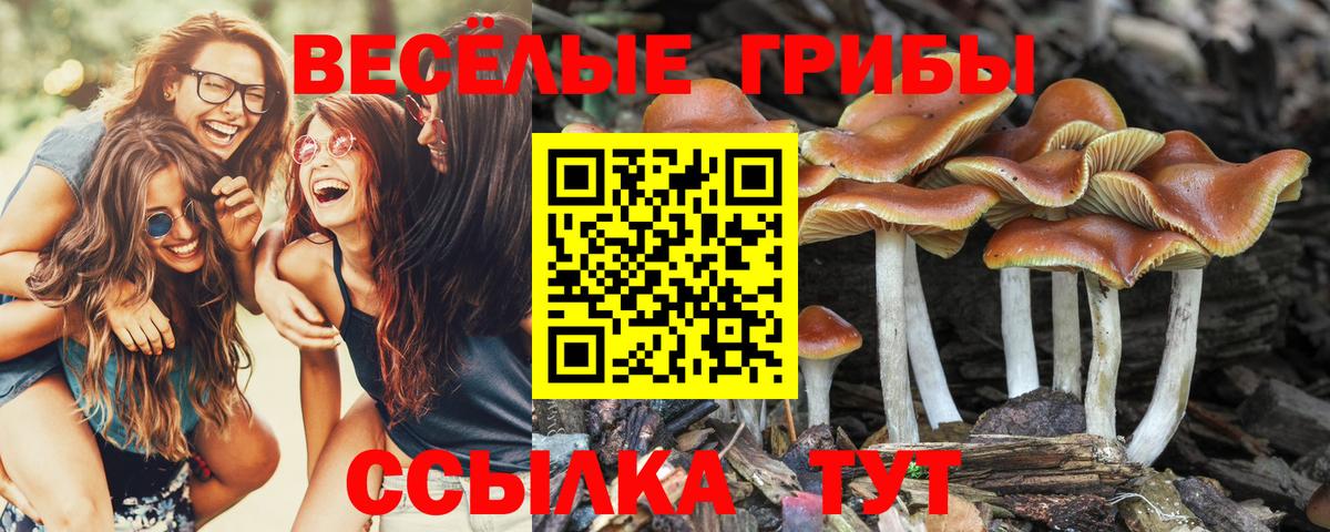 Псилоцибиновые грибы прущие грибы Солнечногорск