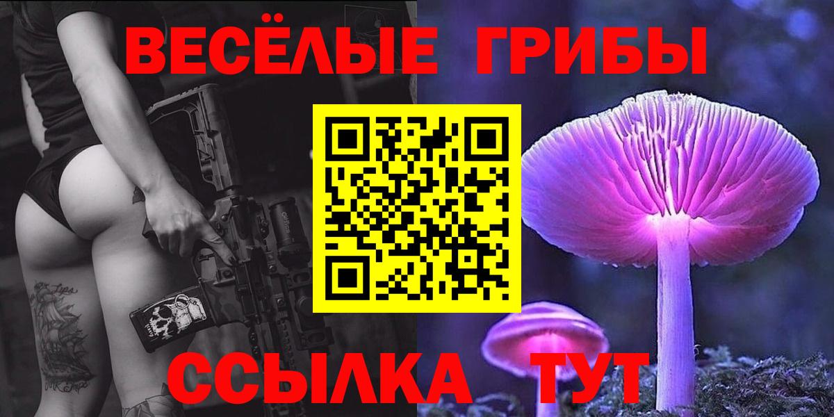 Солнечногорск  Псилоцибиновые грибы Psilocybe  Вход с VPN  купить наркотик  Галлюциногенные грибы MAGIC MUSHROOMS 